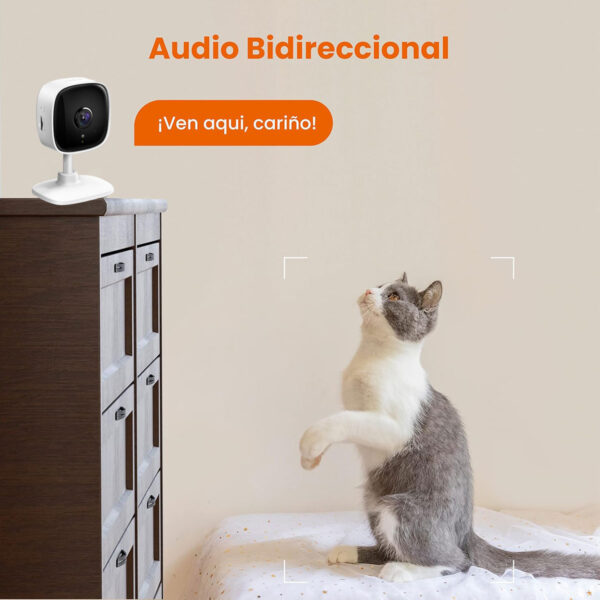Kit x4 Cámara Seguridad 1080p 2mp Tapo C100 + Memoria 64g - Imagen 3