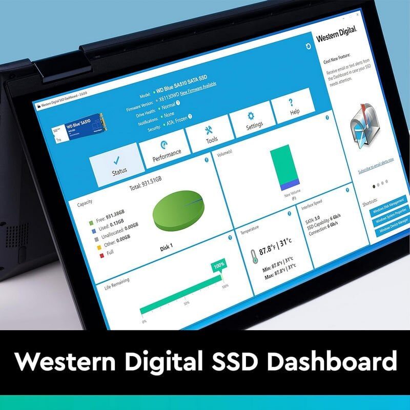 Disco Ssd Wd Blue 250TB SATA III 555MB/s Escritorio o Laptop