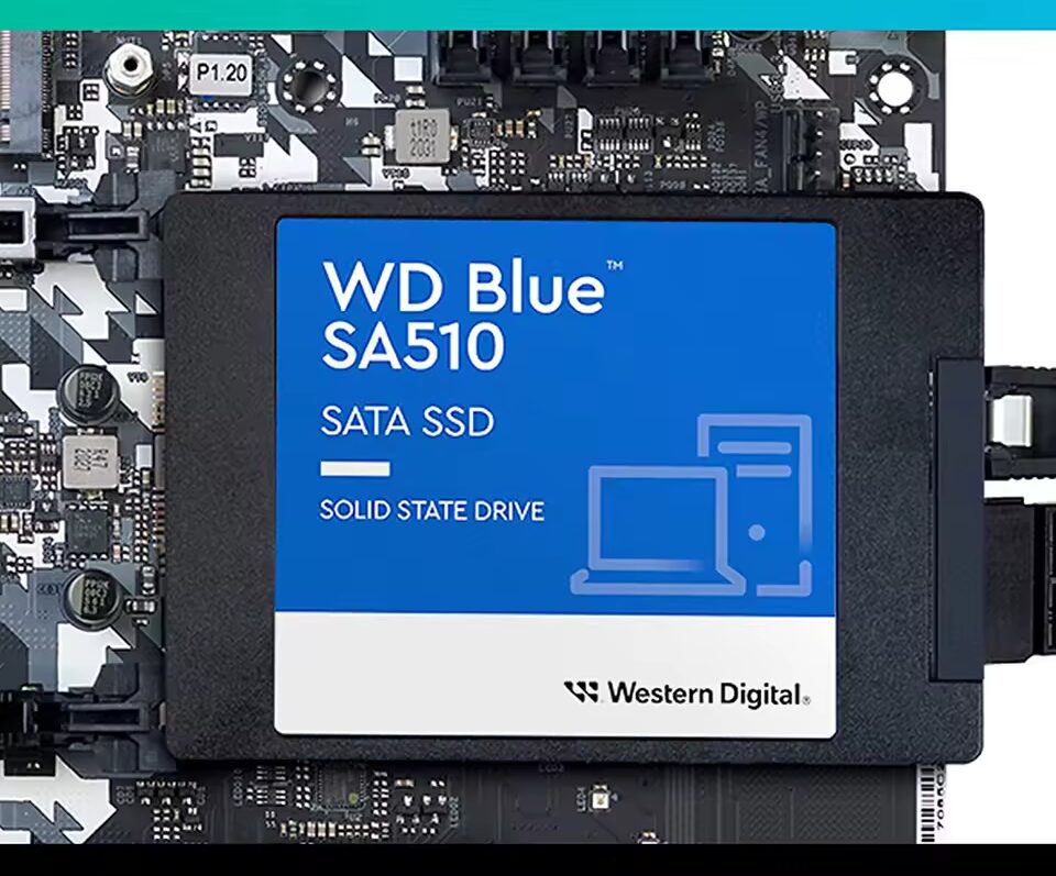 Disco Ssd Wd Blue 250TB SATA III 555MB/s Escritorio o Laptop