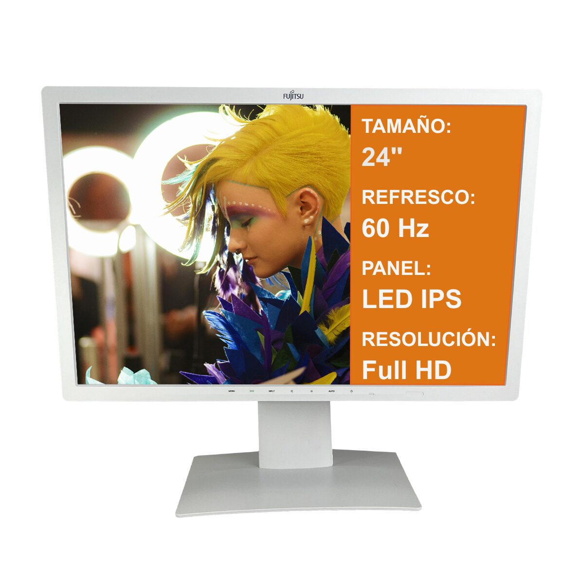 Monitor 24 Pulgadas Monitor Led Full Hd Ips 75Hz Monitor Pc