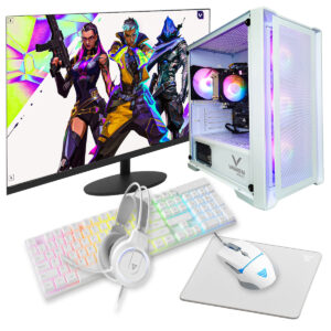 Pc Torre Gamer Amd Ryzen 5 16gb Ram Ssd 960 + Combo-Monitor